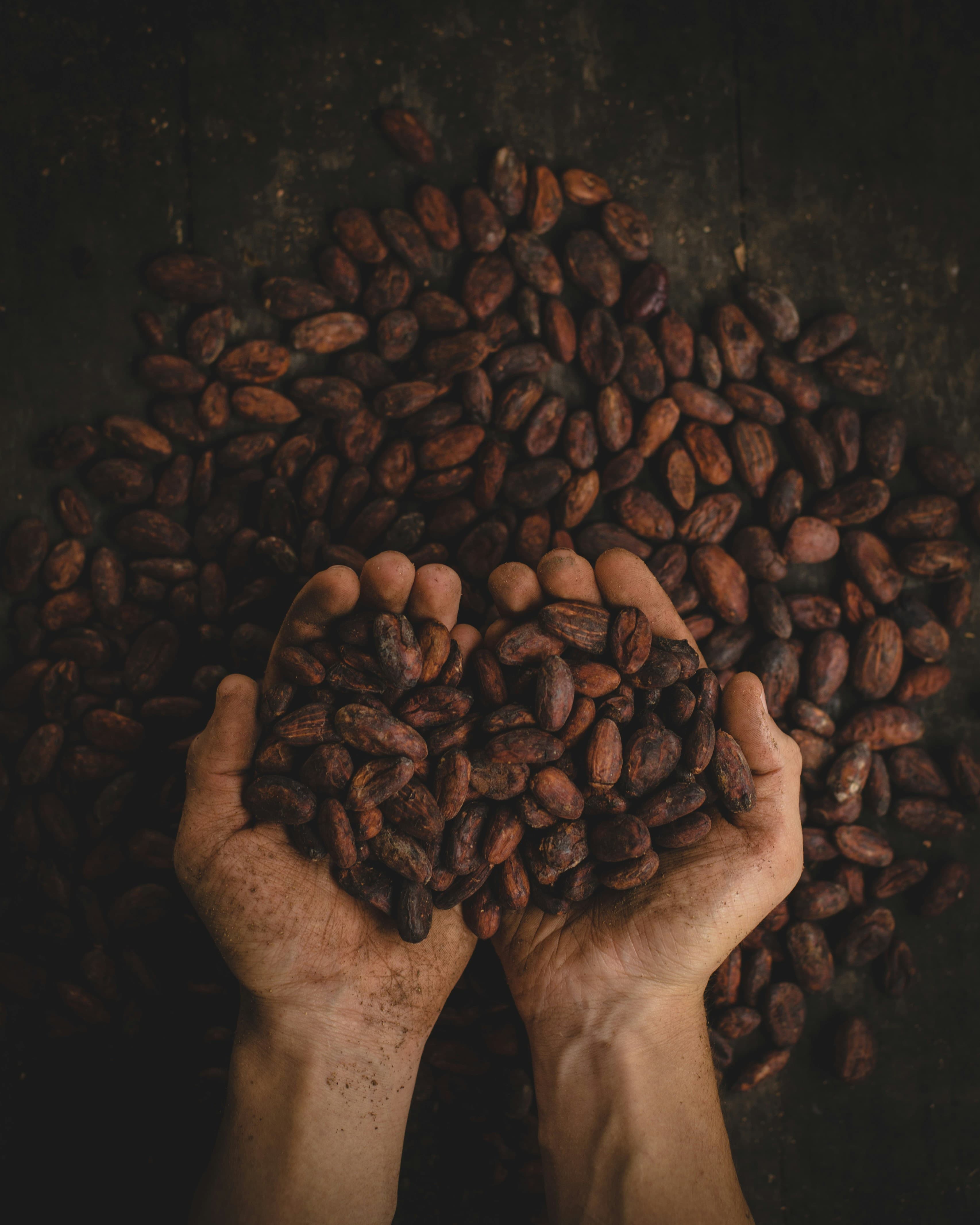 EUDR producten - cacao, koffie, soja en andere grondstoffen voor EUDR compliance